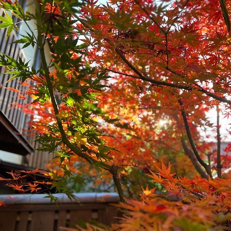 Imakumano Terrace - Dohachi An 道八庵 Villa Kyoto Ngoại thất bức ảnh