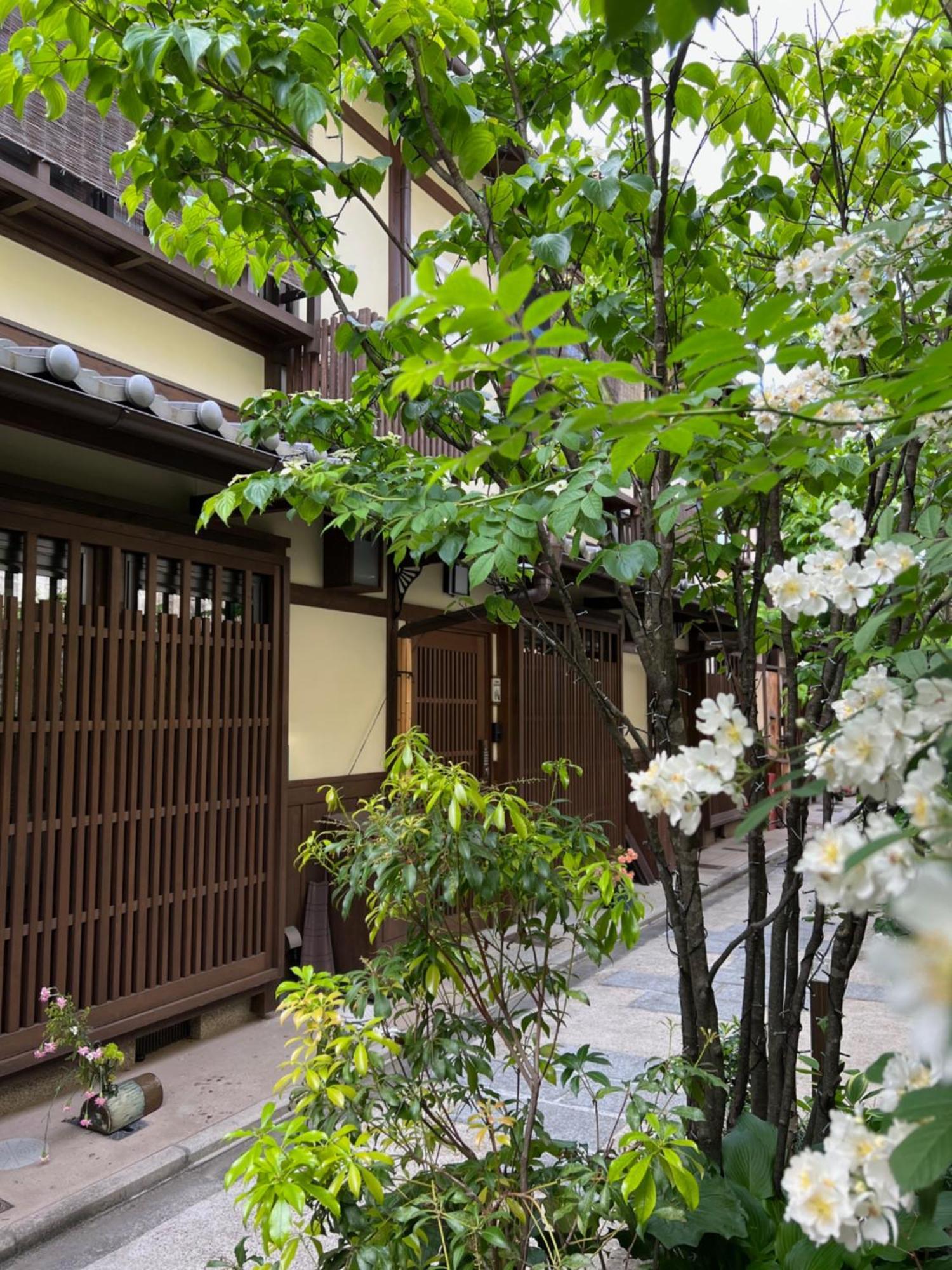 Imakumano Terrace - Dohachi An 道八庵 Villa Kyoto Ngoại thất bức ảnh
