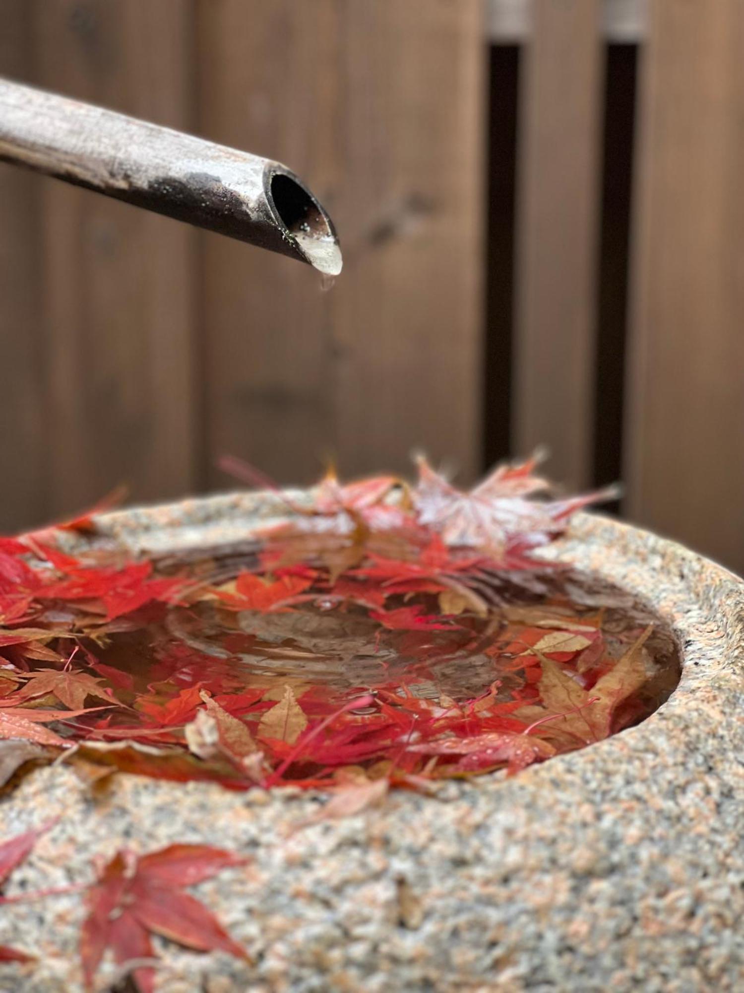 Imakumano Terrace - Dohachi An 道八庵 Villa Kyoto Ngoại thất bức ảnh